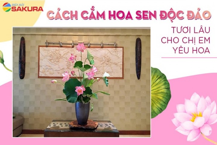 Bật mí cách cắm hoa sen độc đáo tươi lâu cho chị em yêu hoa!