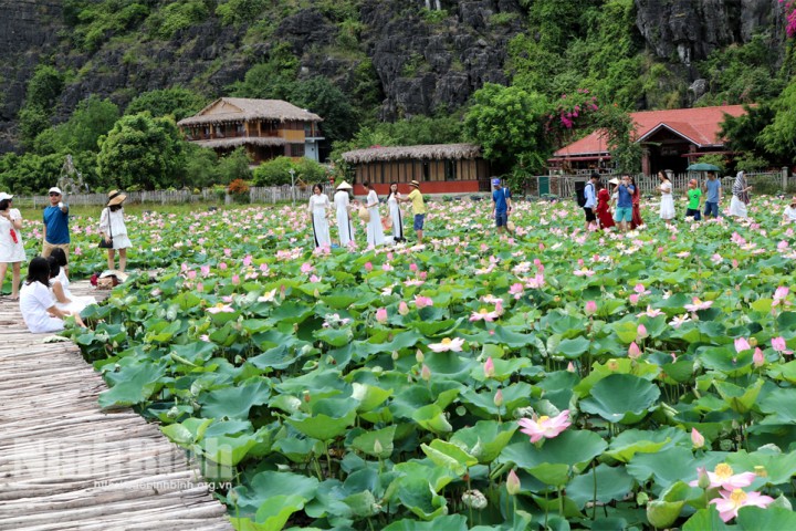 Ninh Bình: Hoạt động du lịch đìu hiu, mạnh dạn làm liều thu tiền triệu mỗi ngày