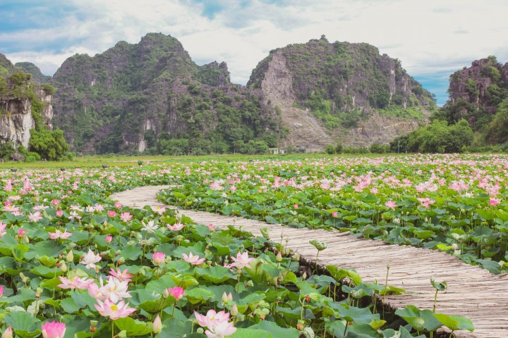 Cuối tuần vi vu Ninh Bình