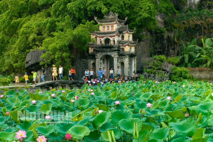 Giới thiệu