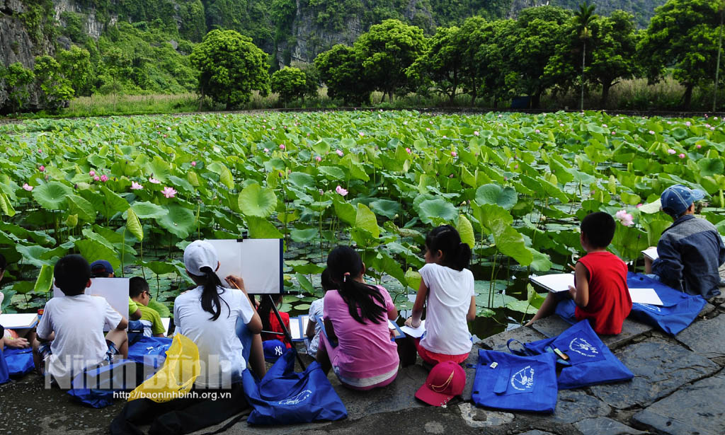 Mùa sen ở Ninh Bình